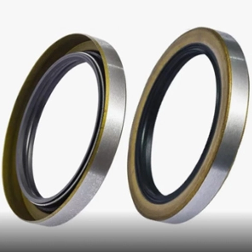 Double Iron Shell Radial Oil Seal